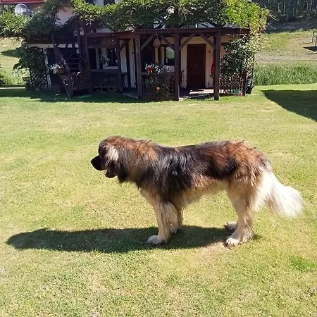 Dolinka שצ'צ'ינק