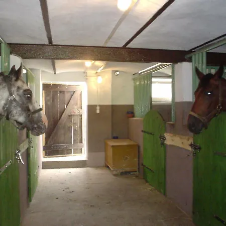 בית כפרי Dolinka שצ'צ'ינק