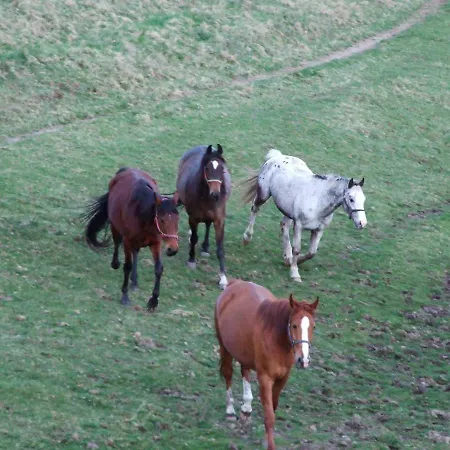 Dolinka בית כפרי