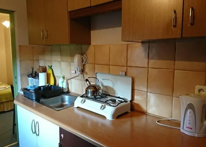 乡村民宿 Dolinka *