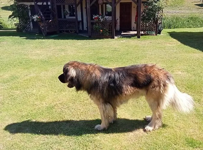 Dolinka 什切齐内克