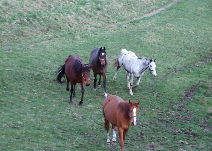 Dolinka Εξοχικό σπίτι